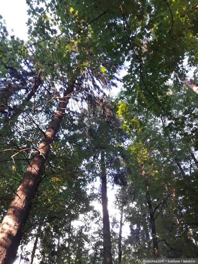 Что вижу, то пою — Игровые куклы разных производителей (Разное): редкие бренды