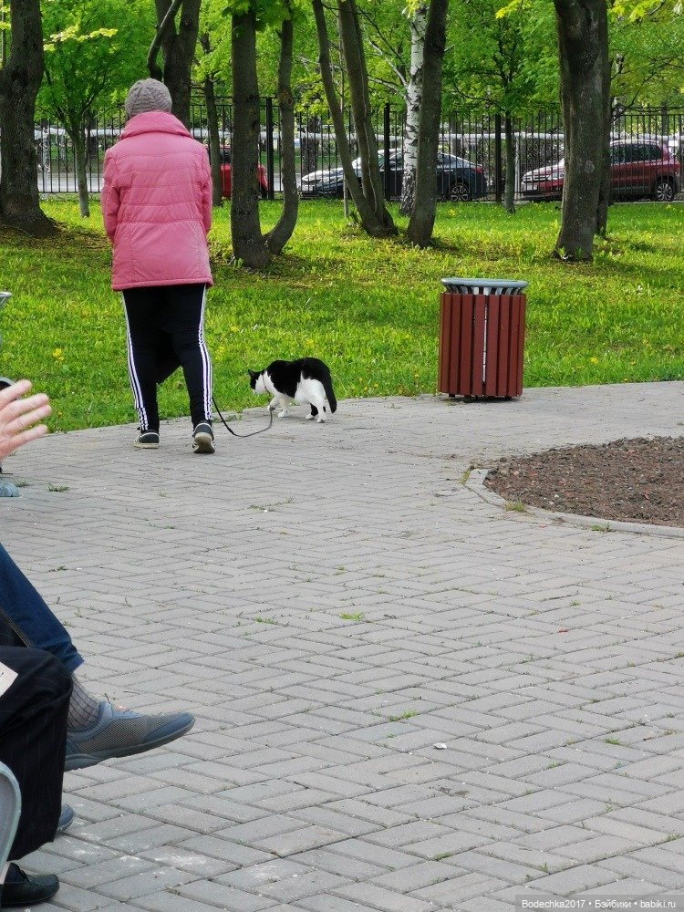 Что вижу, то пою — Игровые куклы разных производителей (Разное): редкие бренды (фото 6)