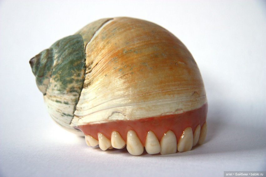 Необычные работы от Келли Бенес (Kelley Benes) 16+ (фото 5)