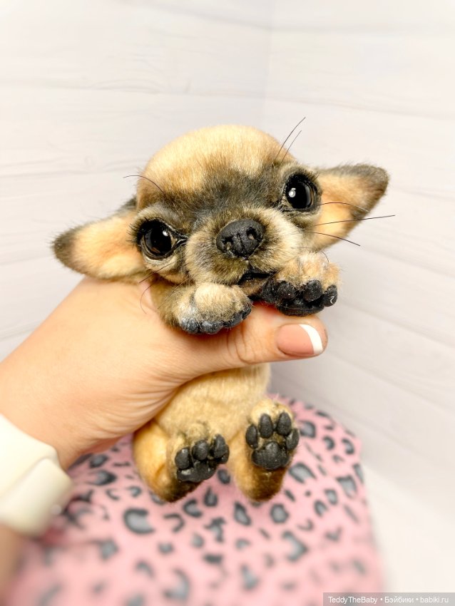 Chika 🐾🐶чихуахуа тедди — Реалистичные игрушки и звери (Натюр): собаки