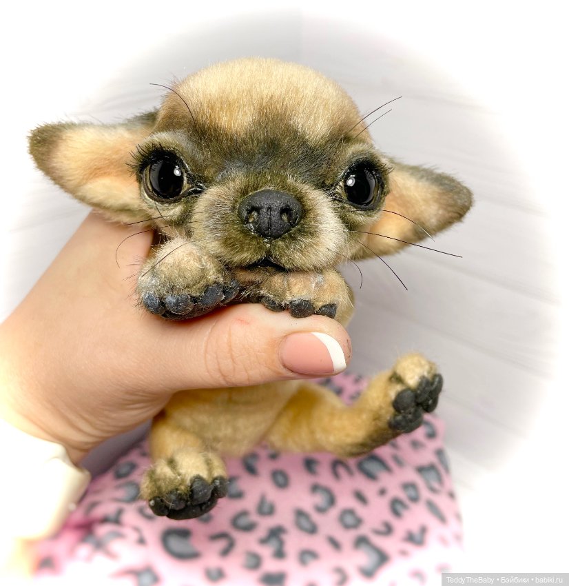Chika 🐾🐶чихуахуа тедди — Реалистичные игрушки и звери (Натюр): собаки (фото 2)