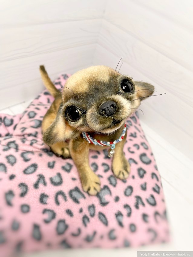 Chika 🐾🐶чихуахуа тедди — Реалистичные игрушки и звери (Натюр): собаки