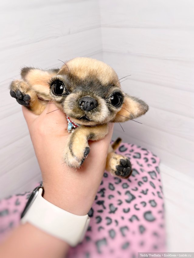 Chika 🐾🐶чихуахуа тедди — Реалистичные игрушки и звери (Натюр): собаки