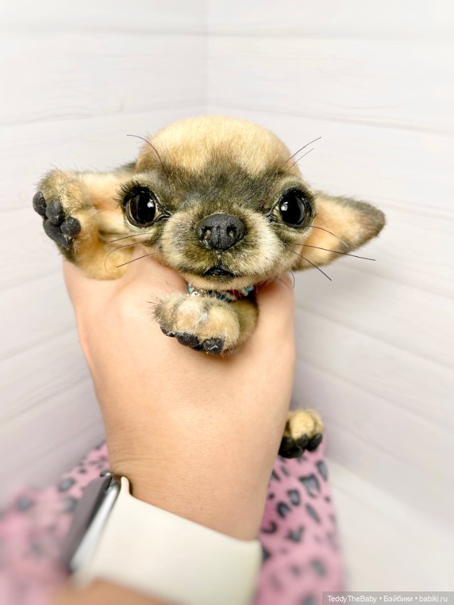 Chika 🐾🐶чихуахуа тедди — Реалистичные игрушки и звери (Натюр): собаки
