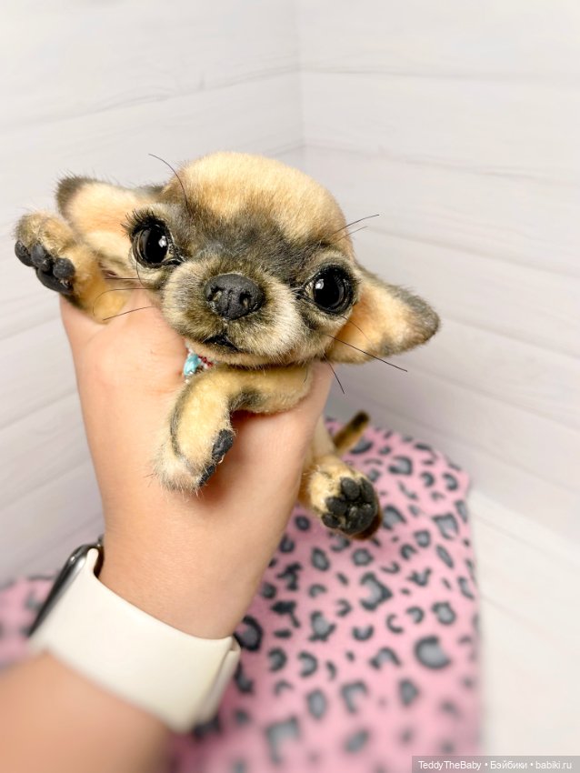 Chika 🐾🐶чихуахуа тедди — Реалистичные игрушки и звери (Натюр): собаки