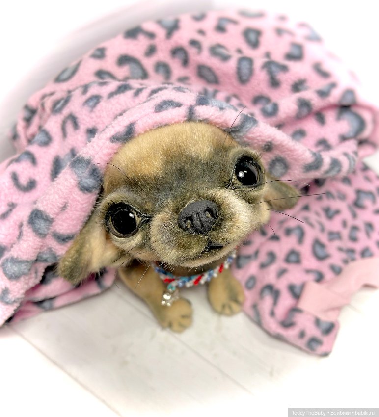 Chika 🐾🐶чихуахуа тедди — Реалистичные игрушки и звери (Натюр): собаки