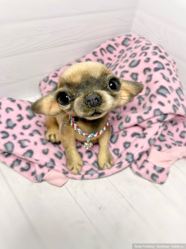 Chika 🐾🐶чихуахуа тедди — Реалистичные игрушки и звери (Натюр): собаки (фото 3)