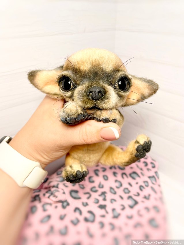 Chika 🐾🐶чихуахуа тедди — Реалистичные игрушки и звери (Натюр): собаки