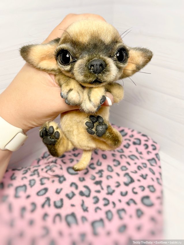 Chika 🐾🐶чихуахуа тедди — Реалистичные игрушки и звери (Натюр): собаки
