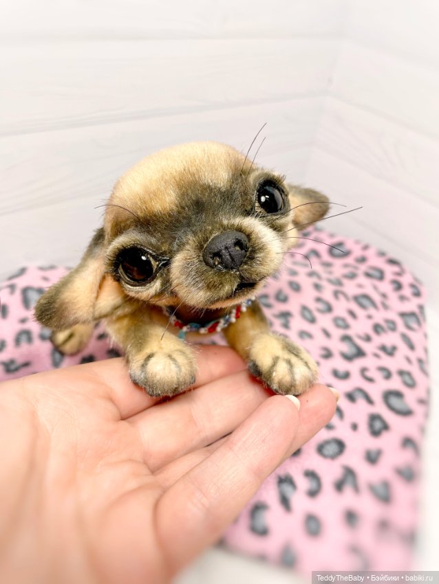 Chika 🐾🐶чихуахуа тедди — Реалистичные игрушки и звери (Натюр): собаки