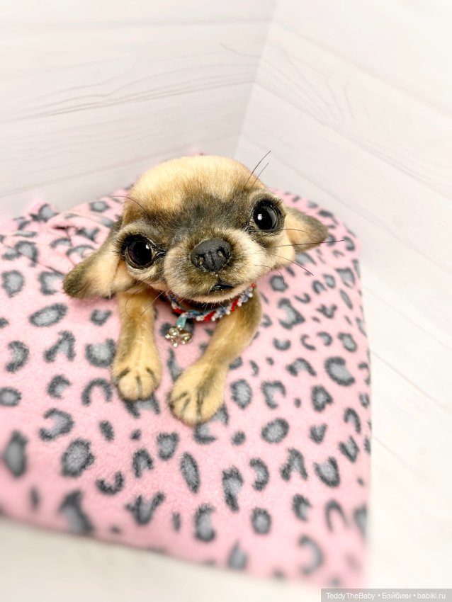 Chika 🐾🐶чихуахуа тедди — Реалистичные игрушки и звери (Натюр): собаки
