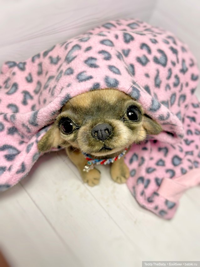 Chika 🐾🐶чихуахуа тедди — Реалистичные игрушки и звери (Натюр): собаки (фото 8)