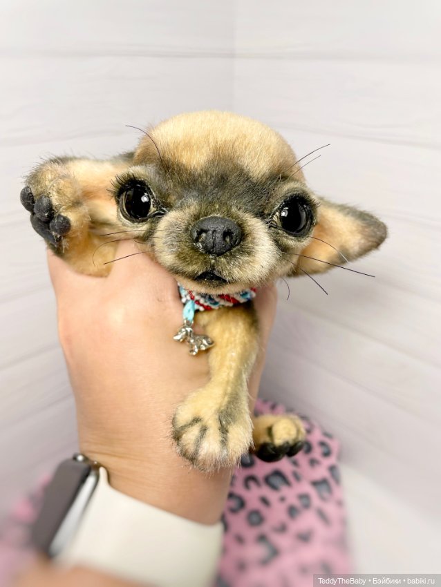 Chika 🐾🐶чихуахуа тедди — Реалистичные игрушки и звери (Натюр): собаки