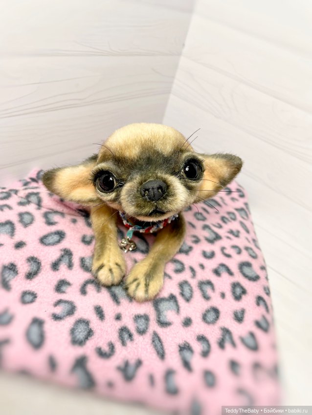 Chika 🐾🐶чихуахуа тедди — Реалистичные игрушки и звери (Натюр): собаки