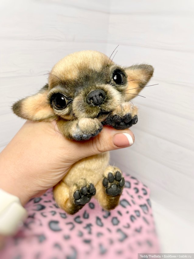 Chika 🐾🐶чихуахуа тедди — Реалистичные игрушки и звери (Натюр): собаки