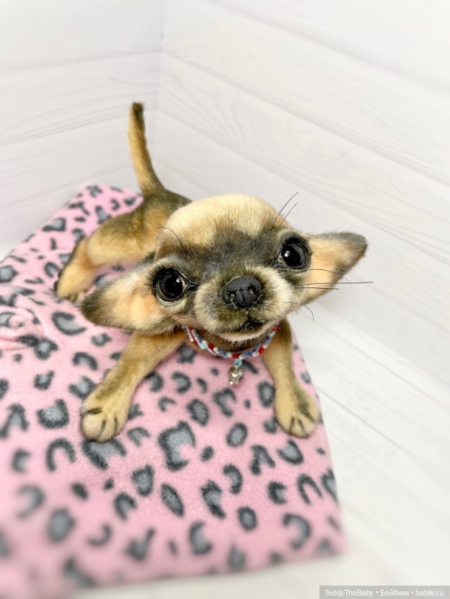 Chika 🐾🐶чихуахуа тедди — Реалистичные игрушки и звери (Натюр): собаки