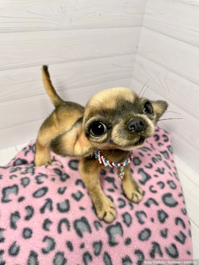 Chika 🐾🐶чихуахуа тедди — Реалистичные игрушки и звери (Натюр): собаки