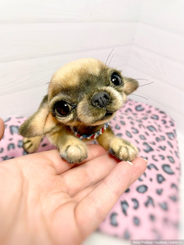 Chika 🐾🐶чихуахуа тедди — Реалистичные игрушки и звери (Натюр): собаки