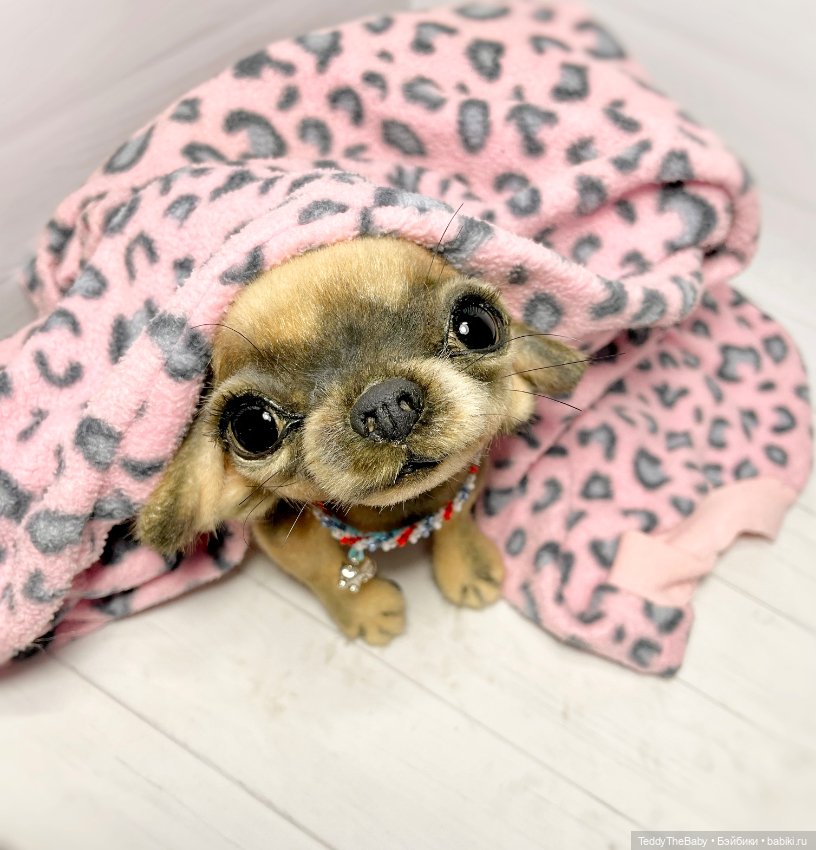 Chika 🐾🐶чихуахуа тедди — Реалистичные игрушки и звери (Натюр): собаки (фото 7)