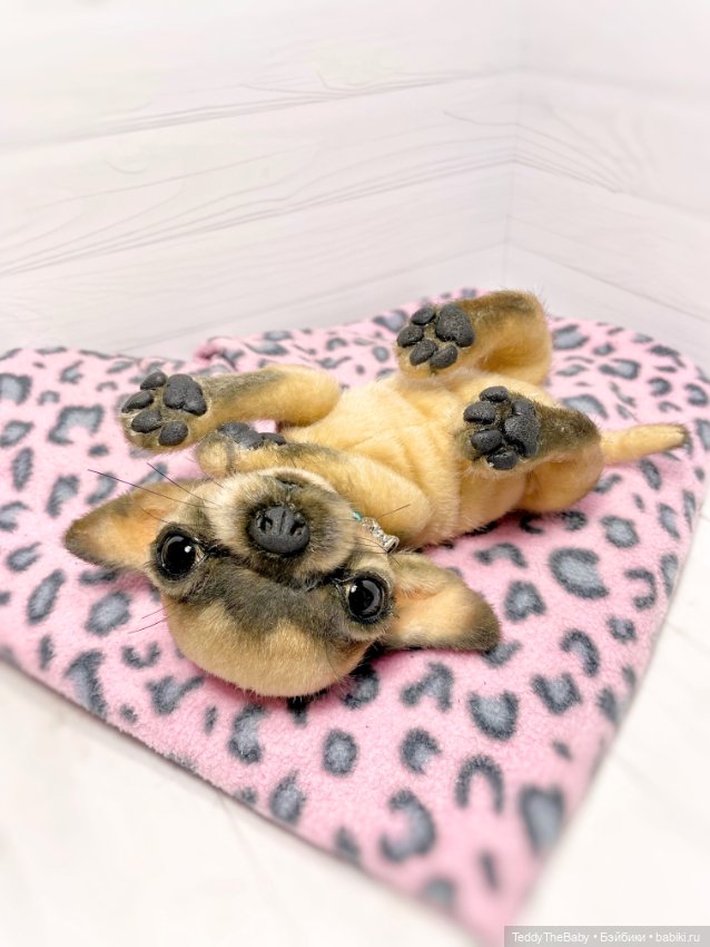 Chika 🐾🐶чихуахуа тедди — Реалистичные игрушки и звери (Натюр): собаки