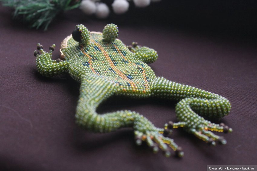 Квакушки вперед — Другие хобби и увлечения: сад