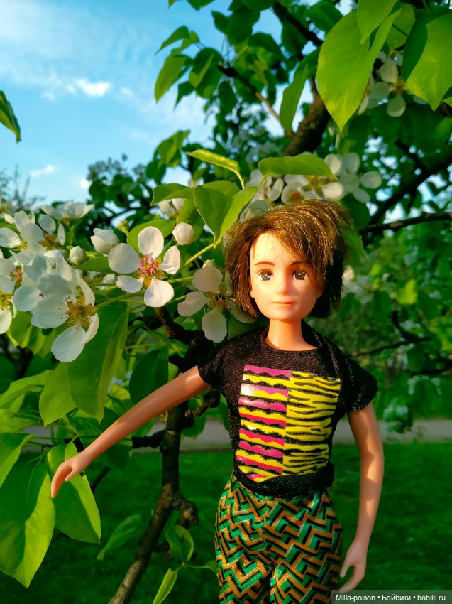 Kayama проводит Ханами — Куклы Takara Tomy (Такара): Licca (Ликка)