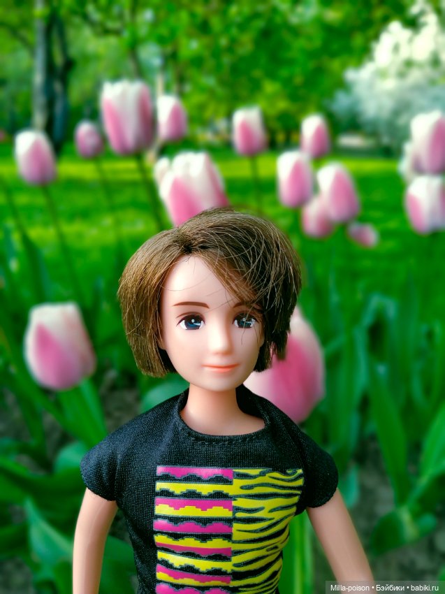 Kayama проводит Ханами — Куклы Takara Tomy (Такара): Licca (Ликка)