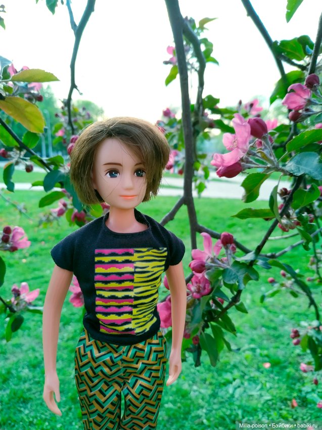 Kayama проводит Ханами — Куклы Takara Tomy (Такара): Licca (Ликка) (фото 4)