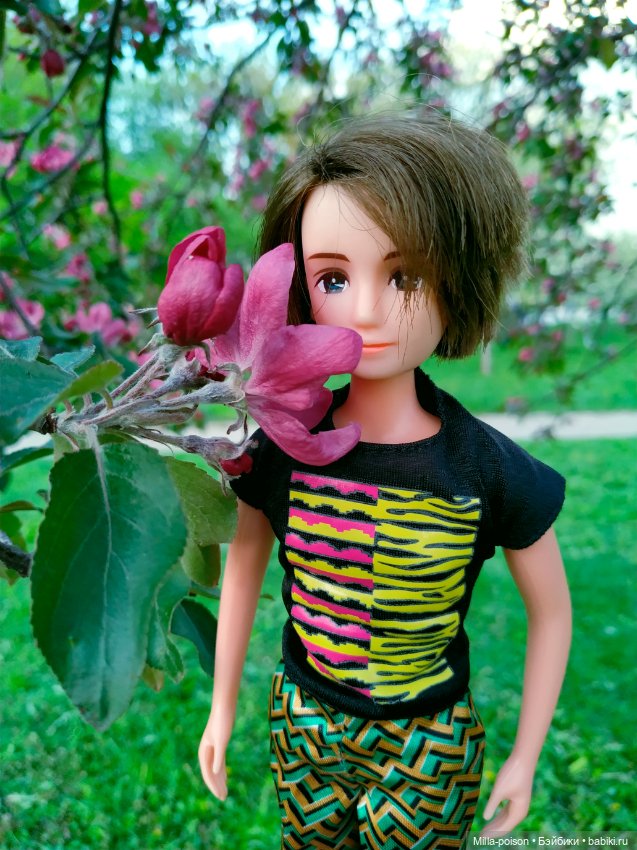 Kayama проводит Ханами — Куклы Takara Tomy (Такара): Licca (Ликка)