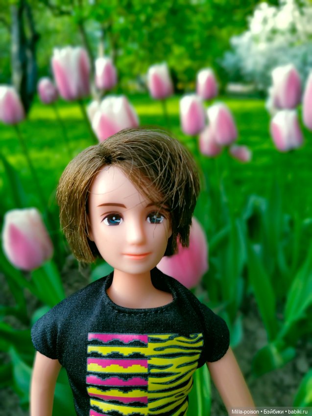 Kayama проводит Ханами — Куклы Takara Tomy (Такара): Licca (Ликка)