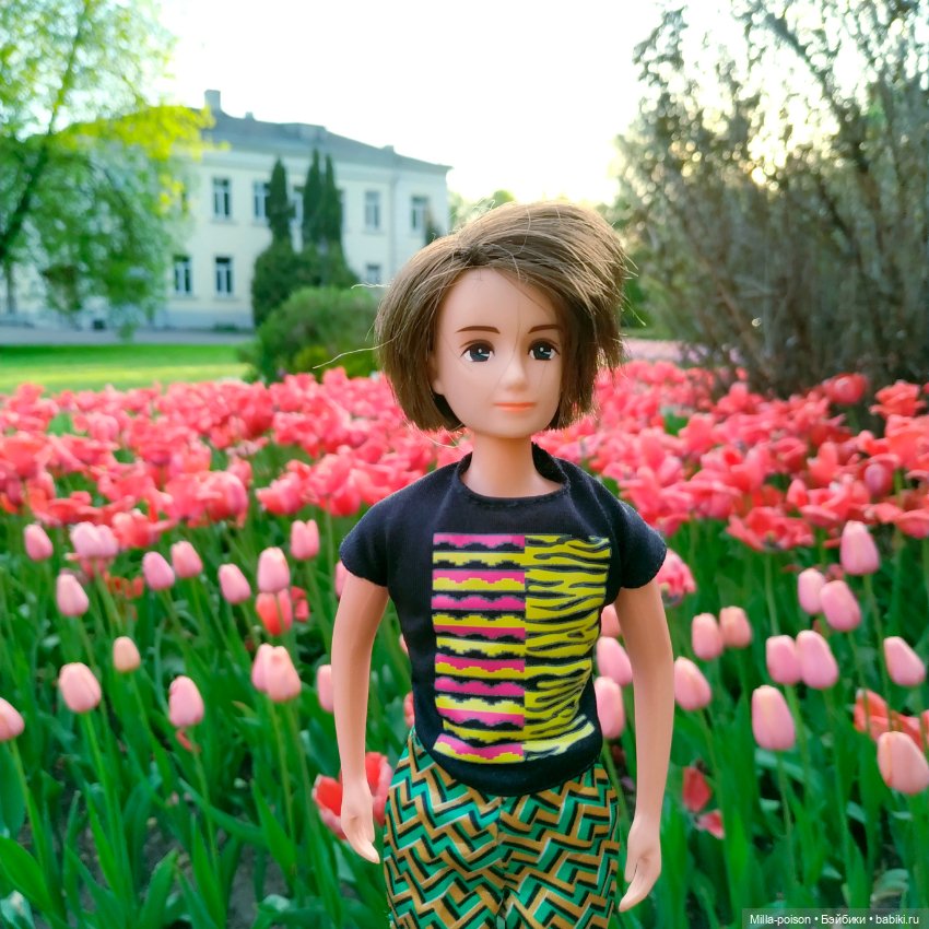 Kayama проводит Ханами — Куклы Takara Tomy (Такара): Licca (Ликка)