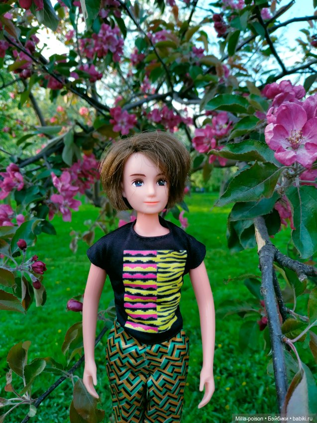 Kayama проводит Ханами — Куклы Takara Tomy (Такара): Licca (Ликка) (фото 5)