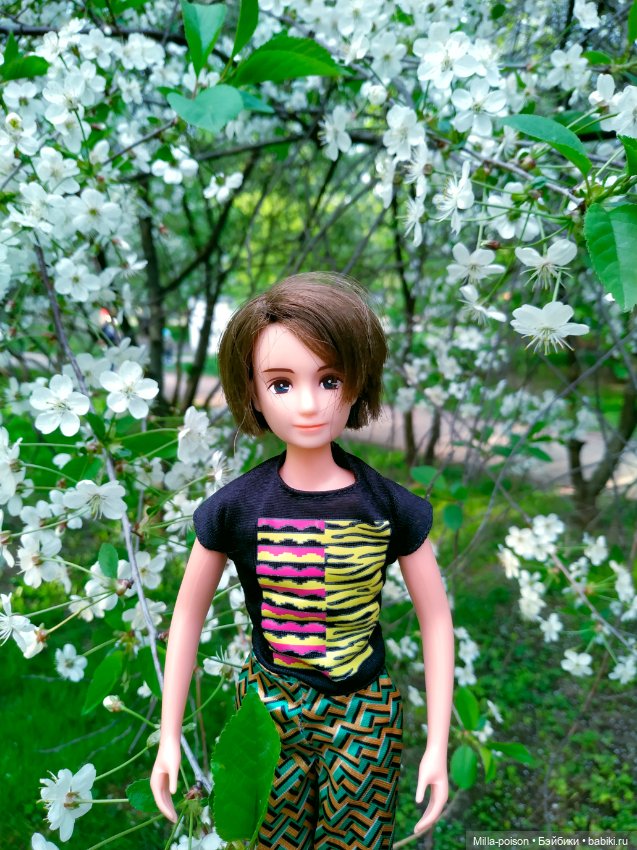 Kayama проводит Ханами — Куклы Takara Tomy (Такара): Licca (Ликка)