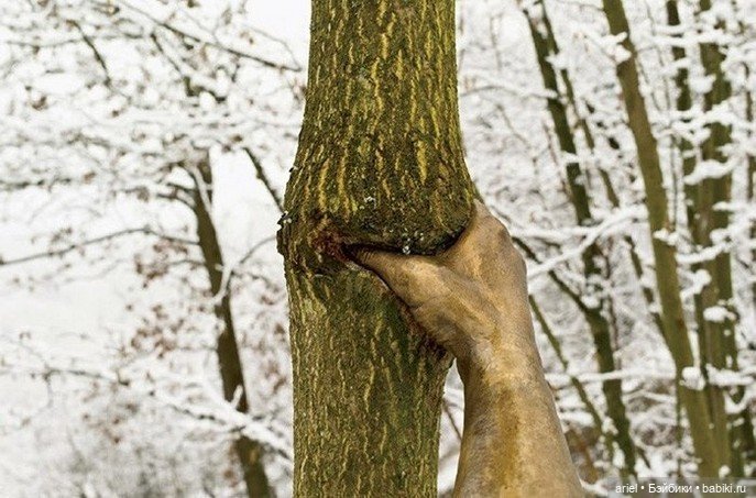 Необычная скульптура от Джузеппе Пеноне, которая меняется со временем