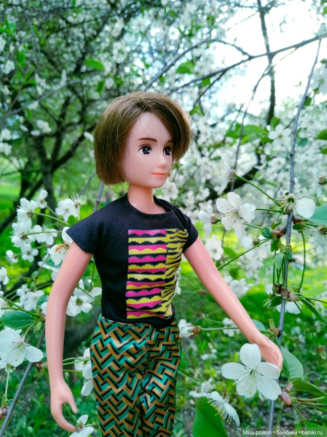 Kayama проводит Ханами — Куклы Takara Tomy (Такара): Licca (Ликка)