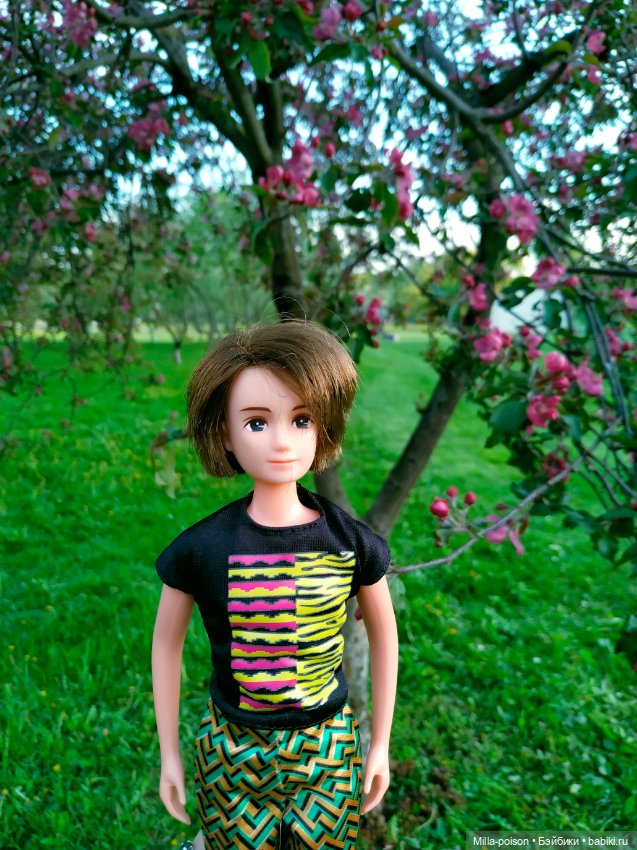 Kayama проводит Ханами — Куклы Takara Tomy (Такара): Licca (Ликка) (фото 6)