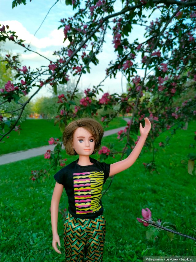 Kayama проводит Ханами — Куклы Takara Tomy (Такара): Licca (Ликка) (фото 7)