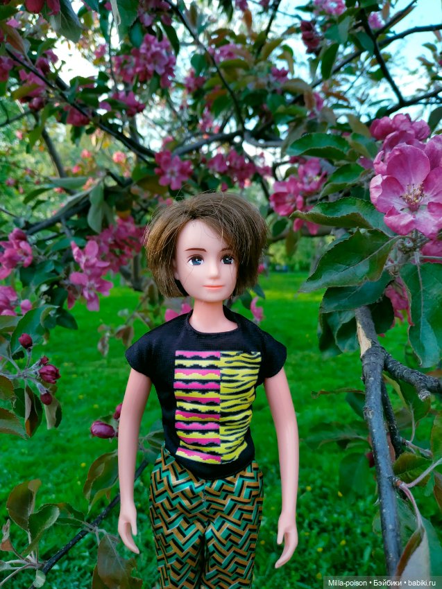 Kayama проводит Ханами — Куклы Takara Tomy (Такара): Licca (Ликка) (фото 9)