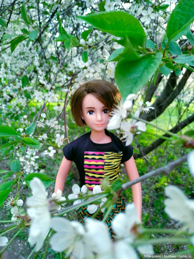 Kayama проводит Ханами — Куклы Takara Tomy (Такара): Licca (Ликка)