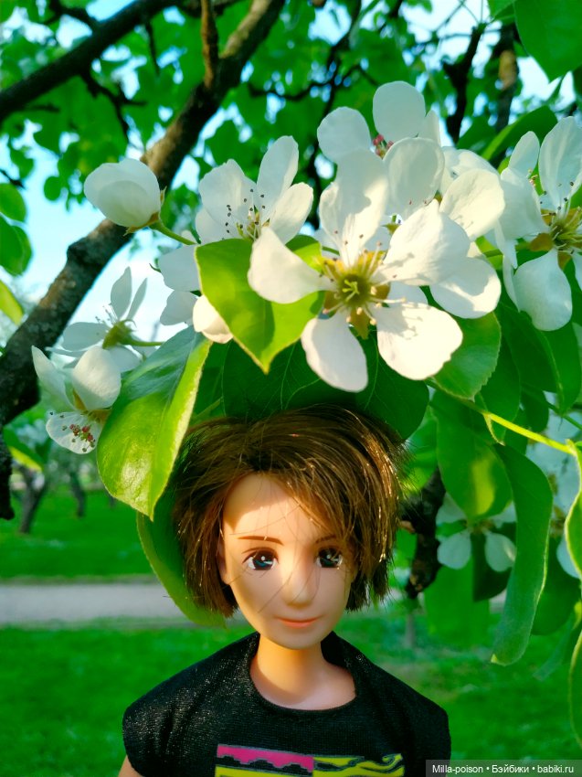 Kayama проводит Ханами — Куклы Takara Tomy (Такара): Licca (Ликка)