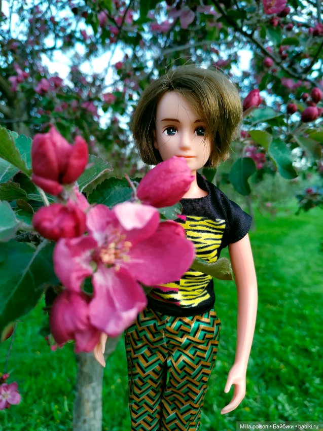 Kayama проводит Ханами — Куклы Takara Tomy (Такара): Licca (Ликка) (фото 3)