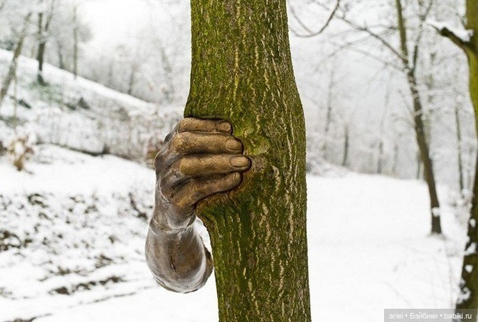 Необычная скульптура от Джузеппе Пеноне, которая меняется со временем (фото 2)