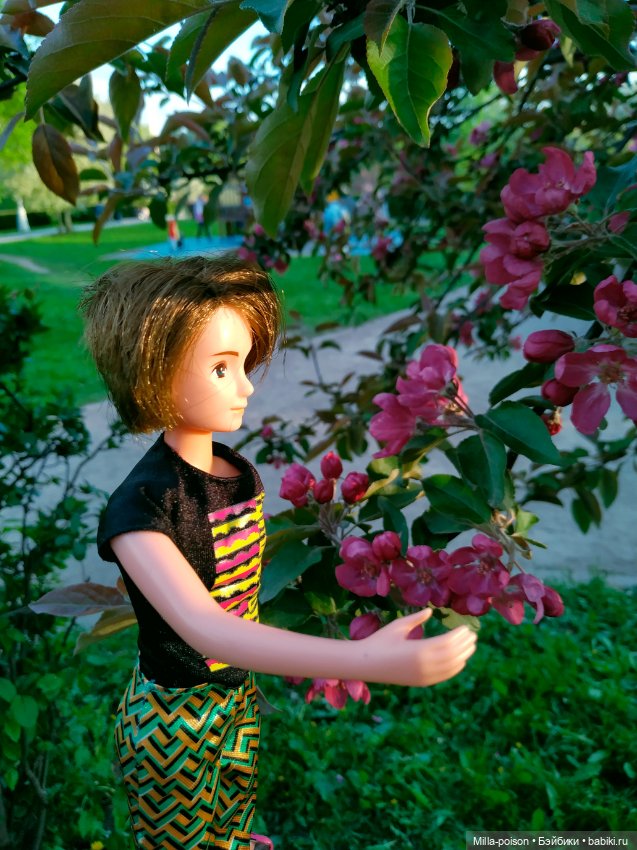 Kayama проводит Ханами — Куклы Takara Tomy (Такара): Licca (Ликка) (фото 8)