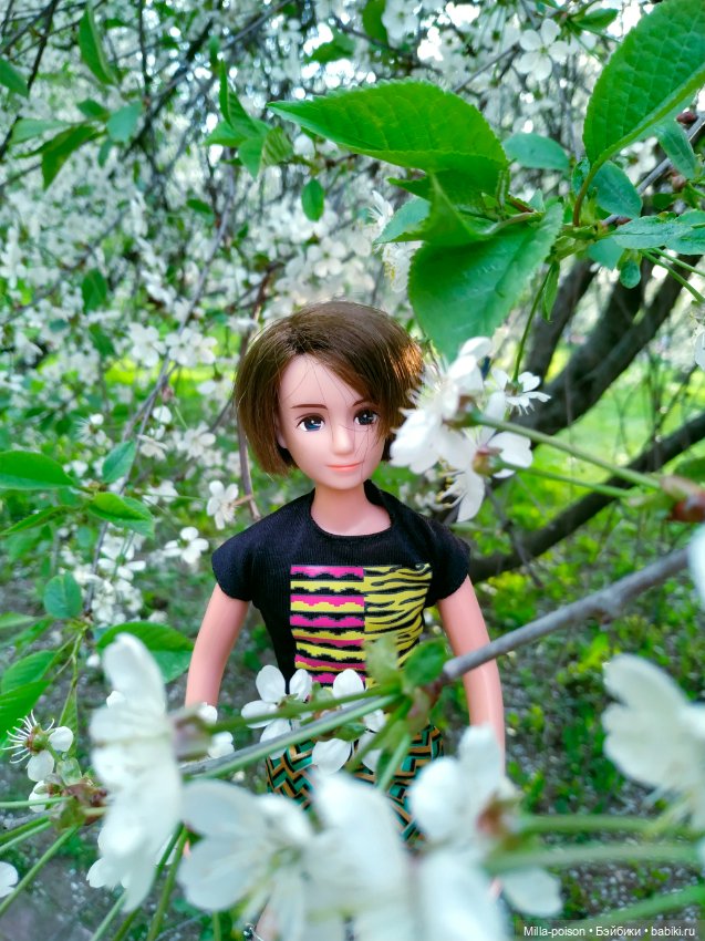 Kayama проводит Ханами — Куклы Takara Tomy (Такара): Licca (Ликка)