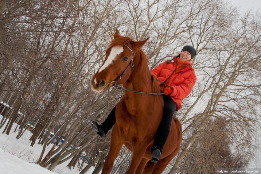 Верхом. День Конника — Авторские игрушки из разных материалов: синельная проволока
