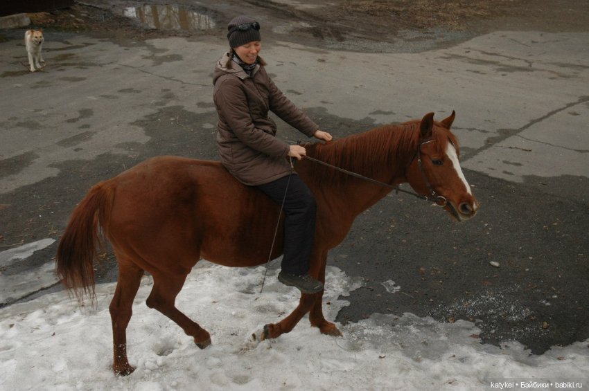 Верхом. День Конника — Авторские игрушки из разных материалов: синельная проволока