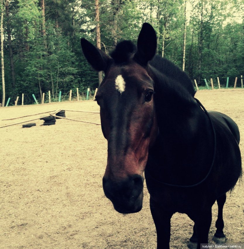 Верхом. День Конника — Авторские игрушки из разных материалов: синельная проволока