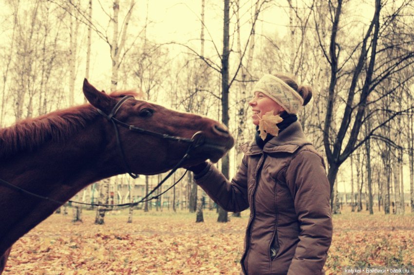 Верхом. День Конника — Авторские игрушки из разных материалов: синельная проволока