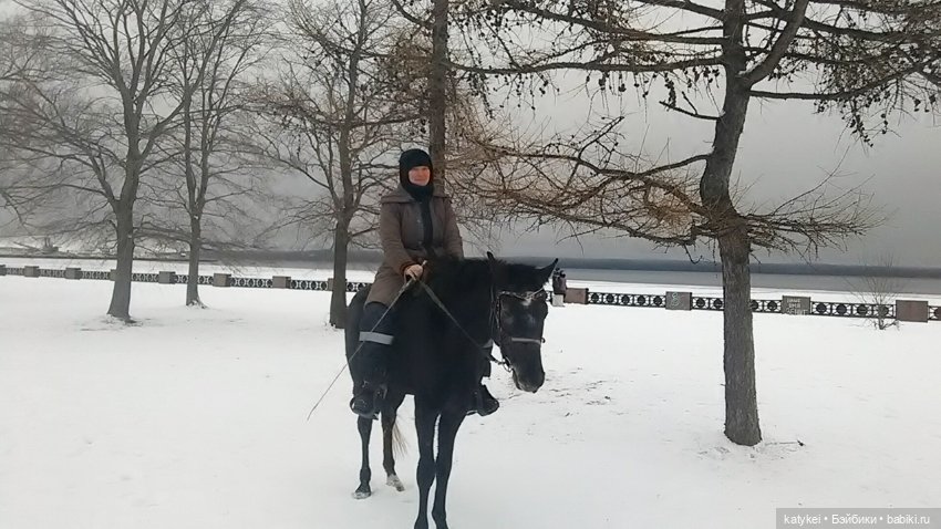 Верхом. День Конника — Авторские игрушки из разных материалов: синельная проволока