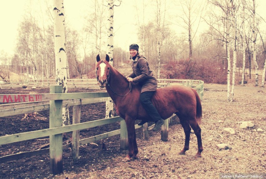 Верхом. День Конника — Авторские игрушки из разных материалов: синельная проволока